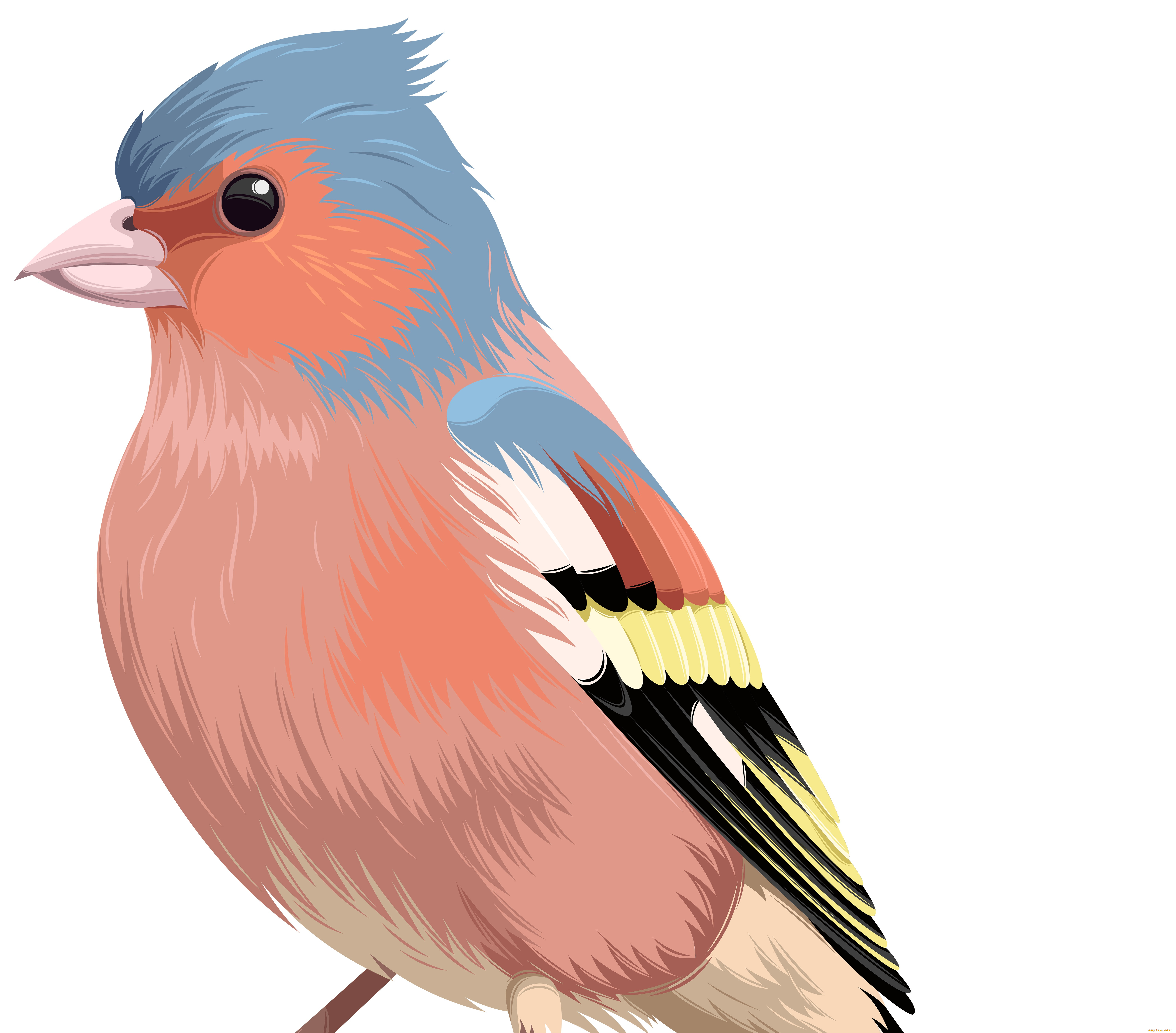  ,  , animals, , 